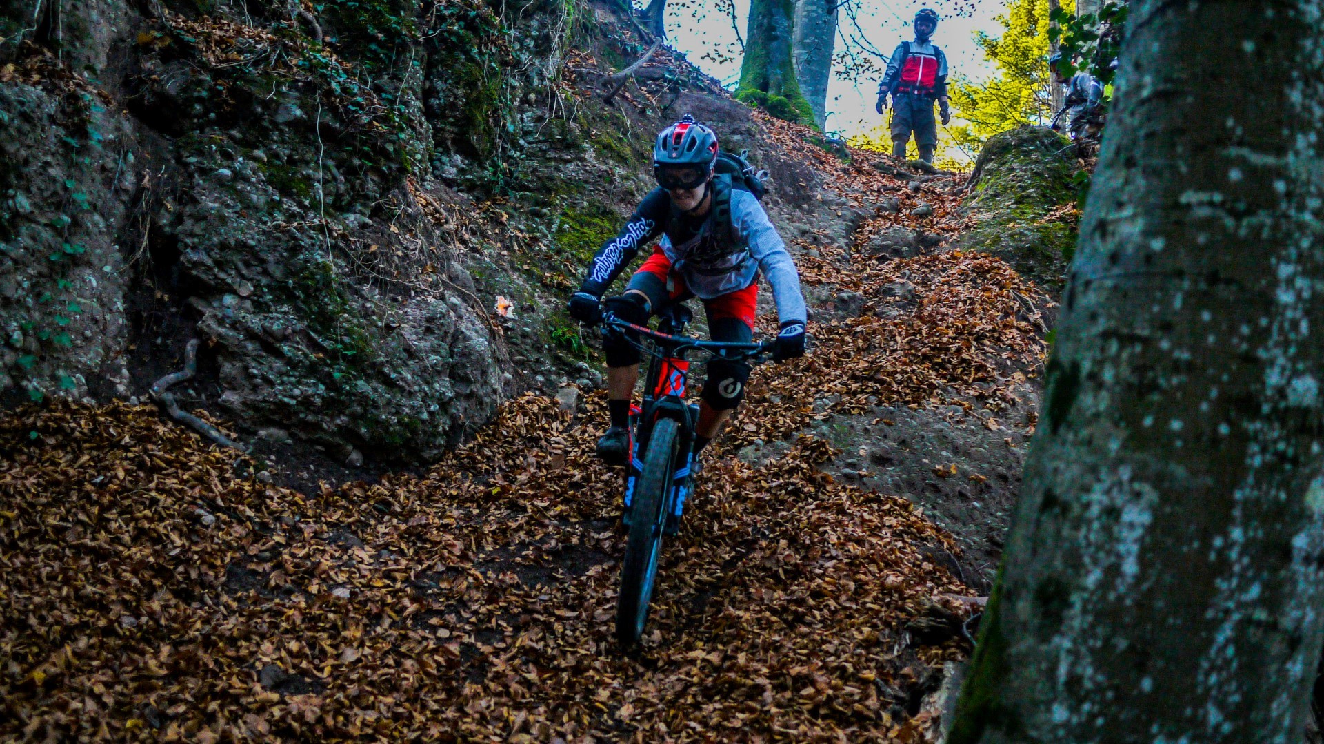 Red Leaves Day, journée de clôture 2017 Red Leaves Day, journée de clôture 2017